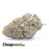 Candy Kush Bulk Special
