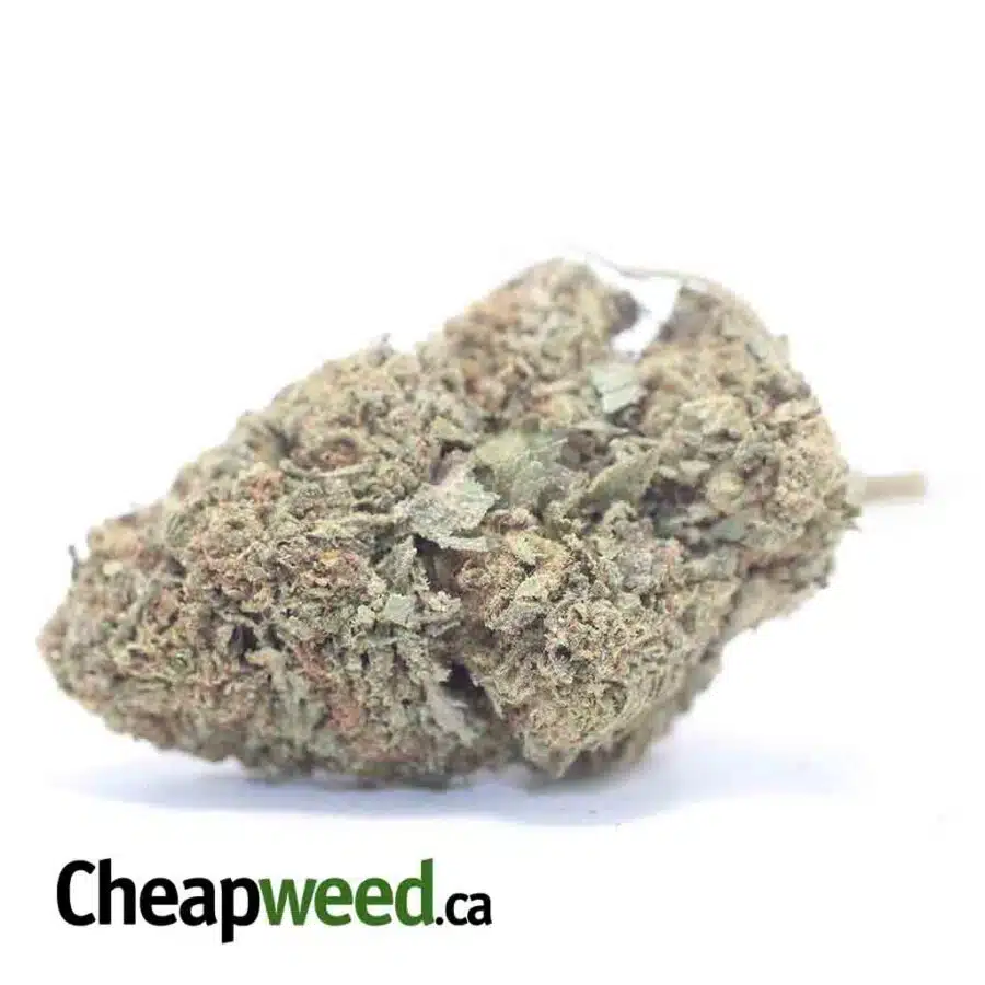 Candy Kush Bulk Special