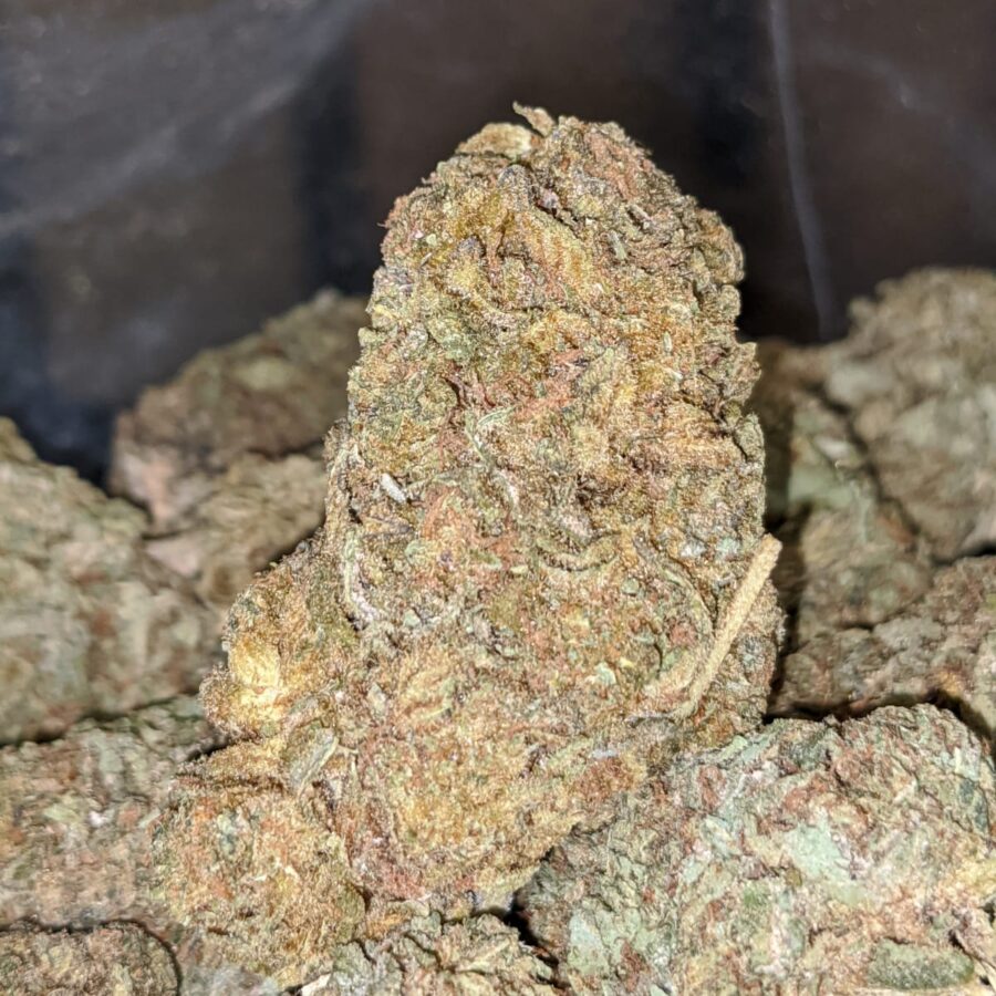 CANDY KUSH BS 2 I Candy Kush Bulk Special