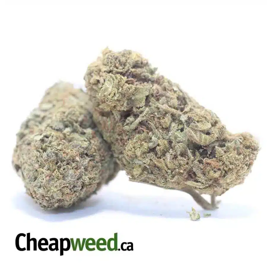 Alternative view of Candy Kush Bulk Special