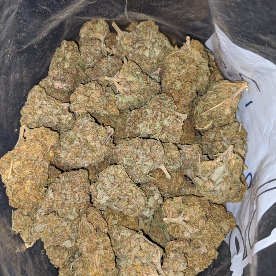 CANDY KUSH BS 3 I Candy Kush Bulk Special