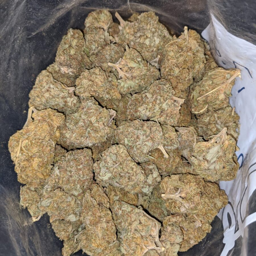CANDY KUSH BS 4 I Candy Kush Bulk Special