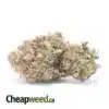 Cannalope Haze Bulk Special