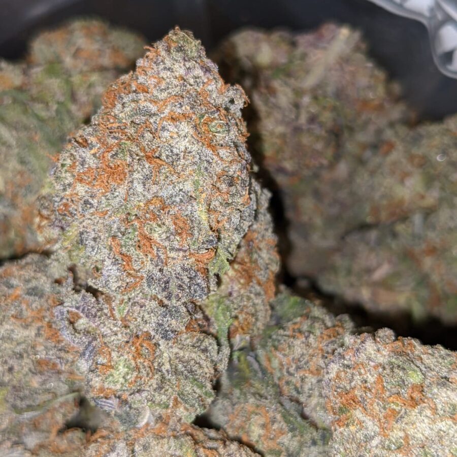CHOCOLATE RASPBERRY COUGH DOD 1 1 I Chocolate Raspberry Cough - *Deal Of The Day*