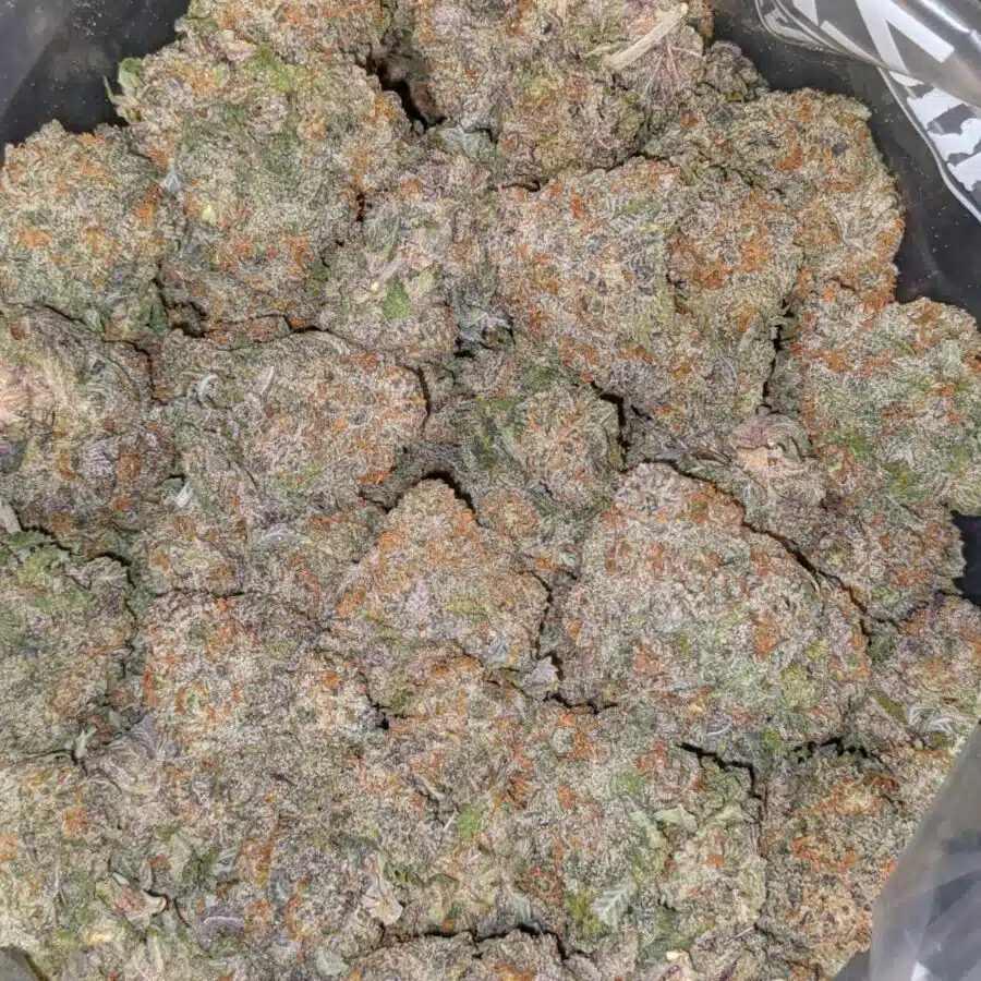 CHOCOLATE RASPBERRY COUGH DOD 2 1 I Chocolate Raspberry Cough - *Deal Of The Day*
