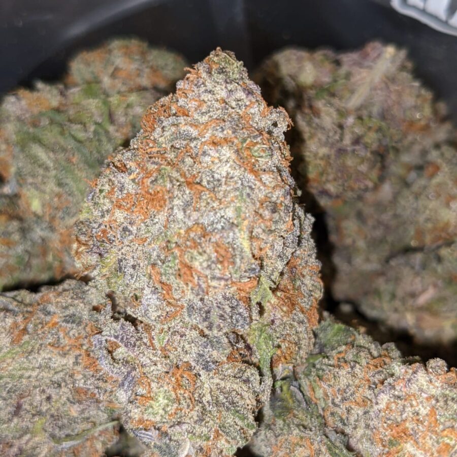 CHOCOLATE RASPBERRY COUGH DOD 3 1 I Chocolate Raspberry Cough - *Deal Of The Day*