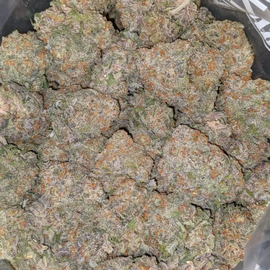 CHOCOLATE RASPBERRY COUGH DOD 4 1 I Chocolate Raspberry Cough - *Deal Of The Day*