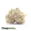 Fatso 27.32% THC