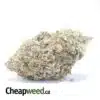 Frost Berry Bulk Special
