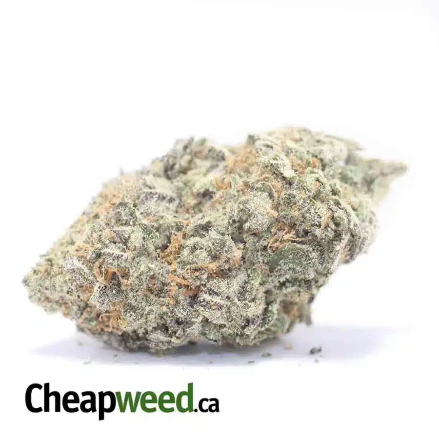 Frost Berry Bulk Special