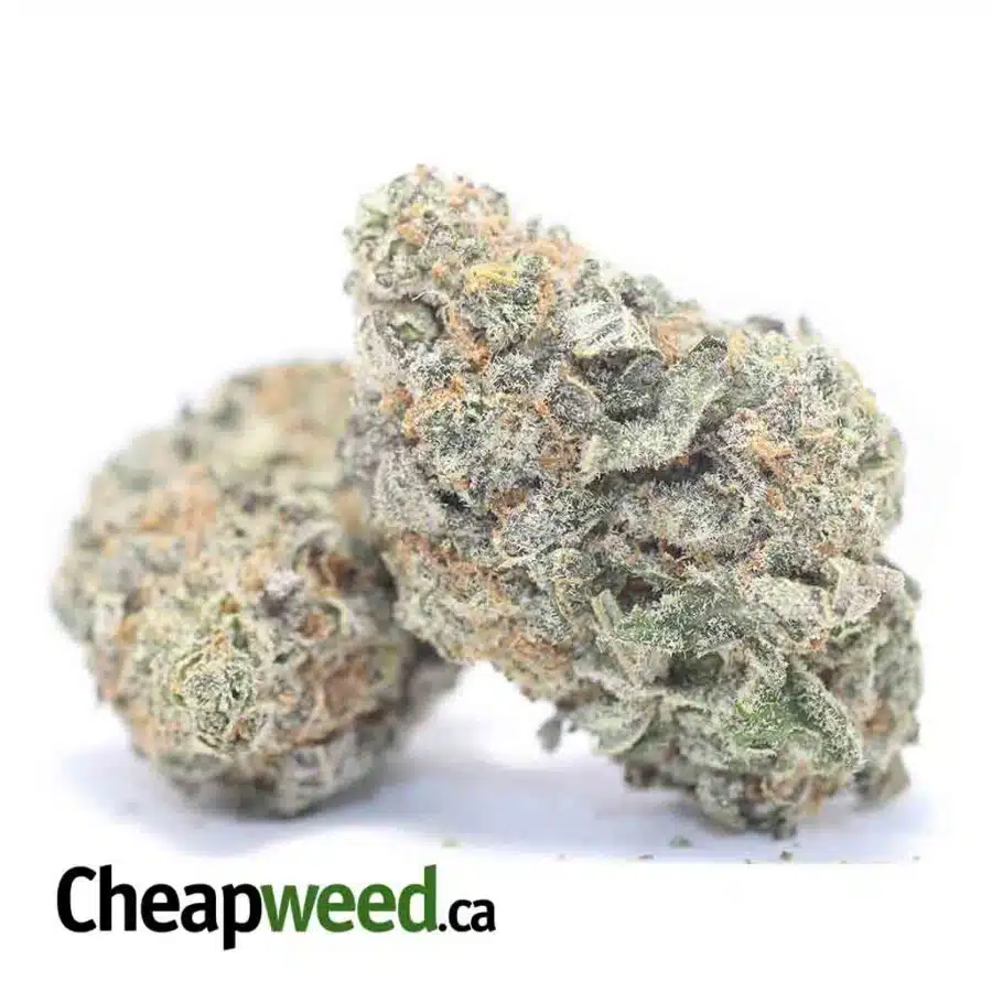 Alternative view of Frost Berry Bulk Special