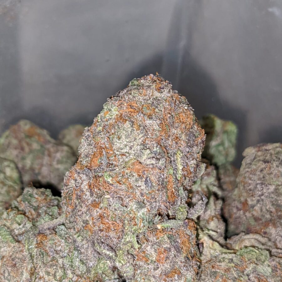 GODS GREEN CRACK DOD 1 I God's Green Crack - *Deal Of The Day*