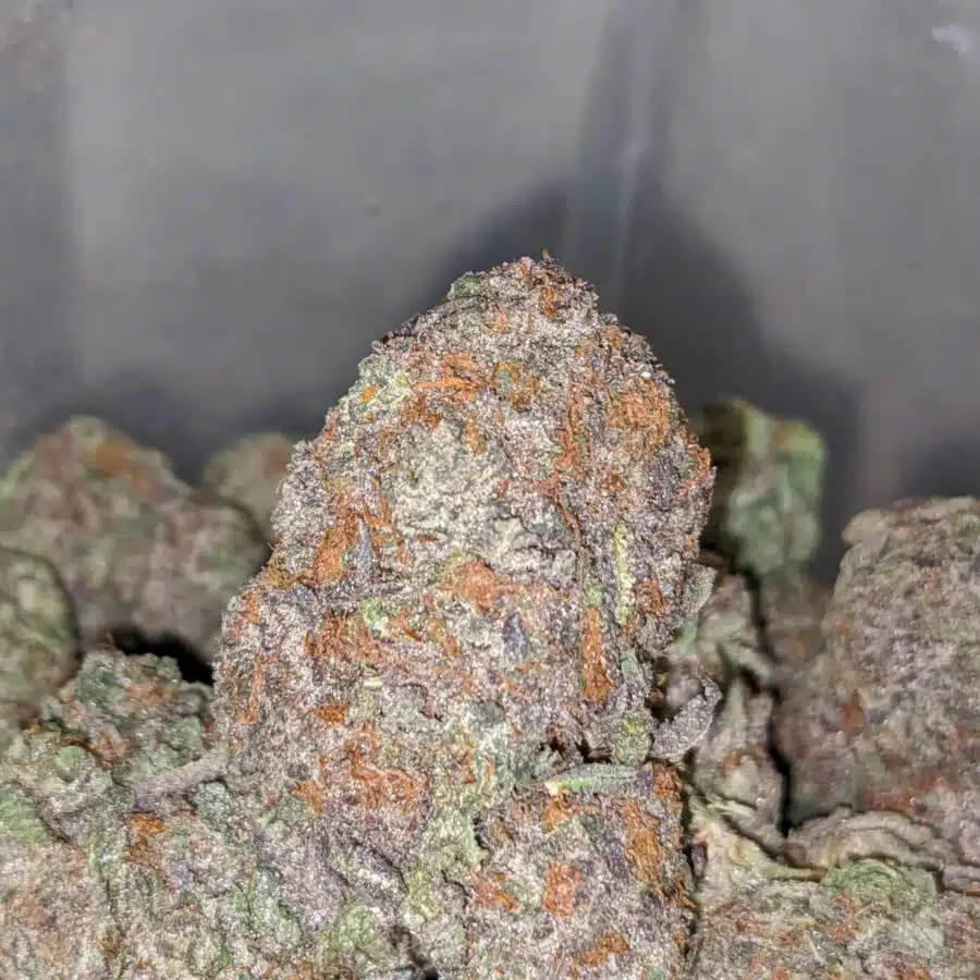 GODS GREEN CRACK DOD 1 I God's Green Crack - *Deal Of The Day*