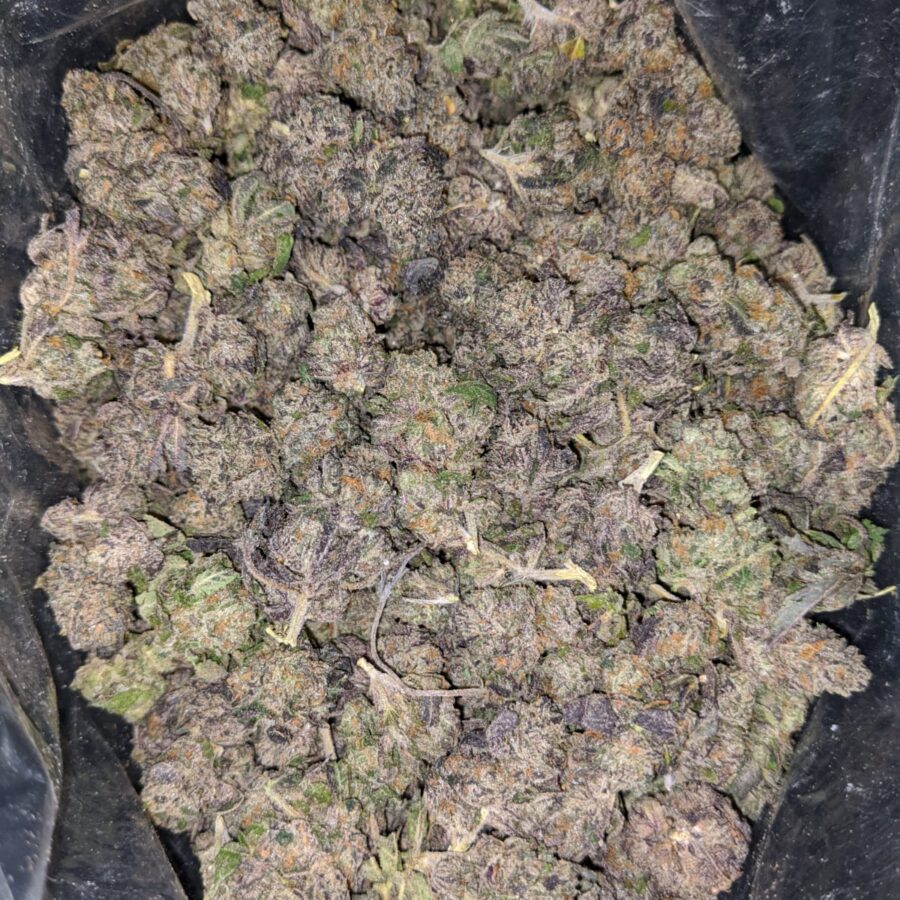 GRAPE COOKIES SMALLS 1 I Grape Cookies (Smalls)