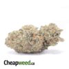 Grape Crush - *Deal of the Day*