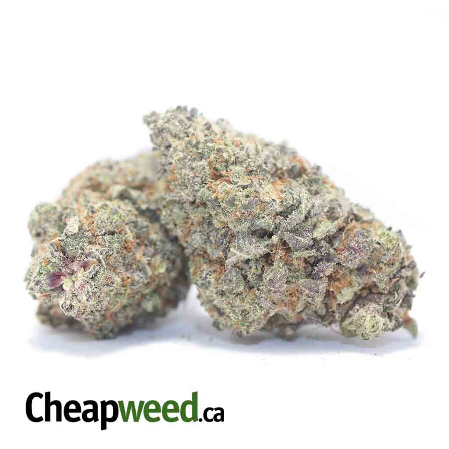 GRAPE CRUSH DOD 3 I Grape Crush - *Deal of the Day*