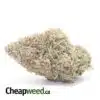 Lemon Cookies - *Deal of the Day*