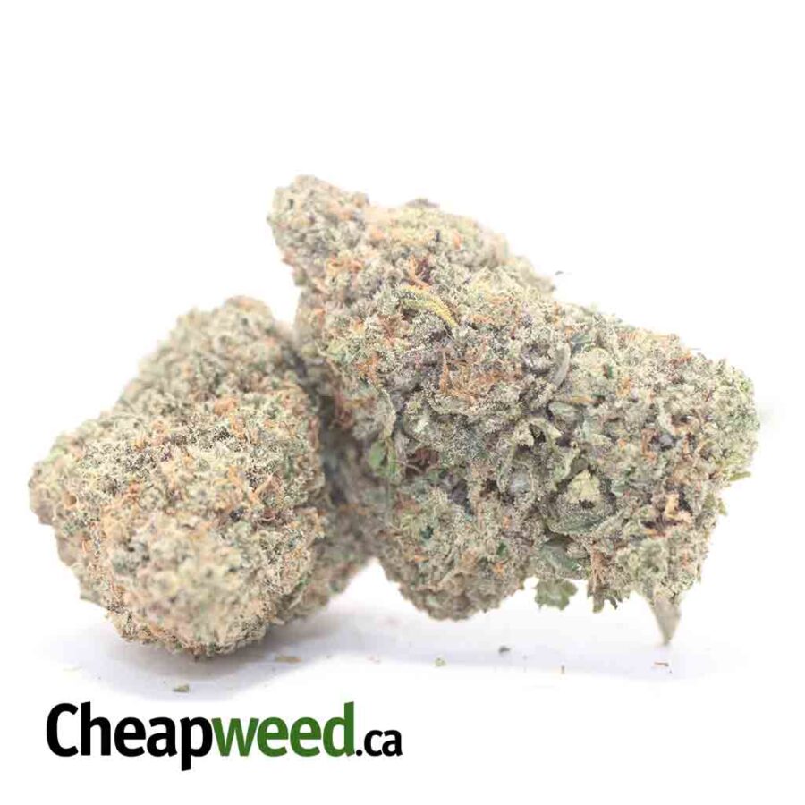 LEMON COOKIES DOD 3 I Lemon Cookies - *Deal of the Day*