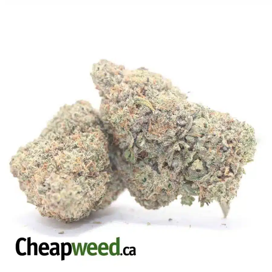 LEMON COOKIES DOD 3 I Lemon Cookies - *Deal of the Day*