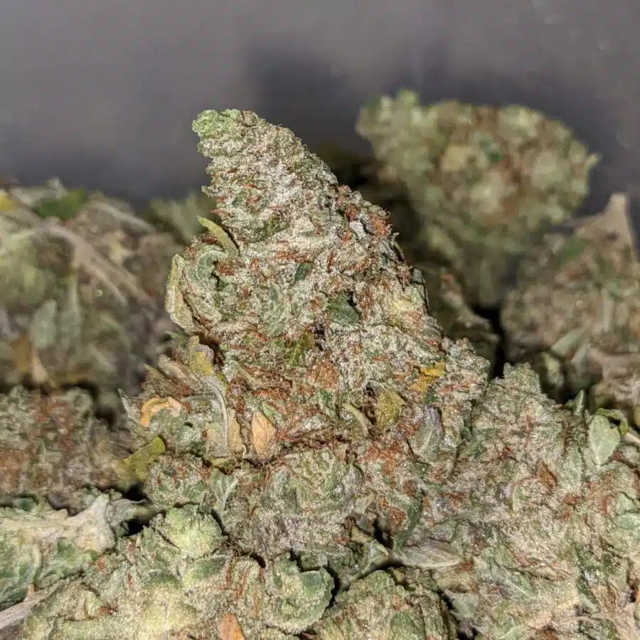 NORTHERN WRECK BS 2 I Northern Wreck Bulk Special