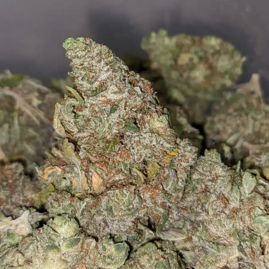NORTHERN WRECK BS 3 I Northern Wreck Bulk Special
