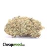 Nuken Bulk Special
