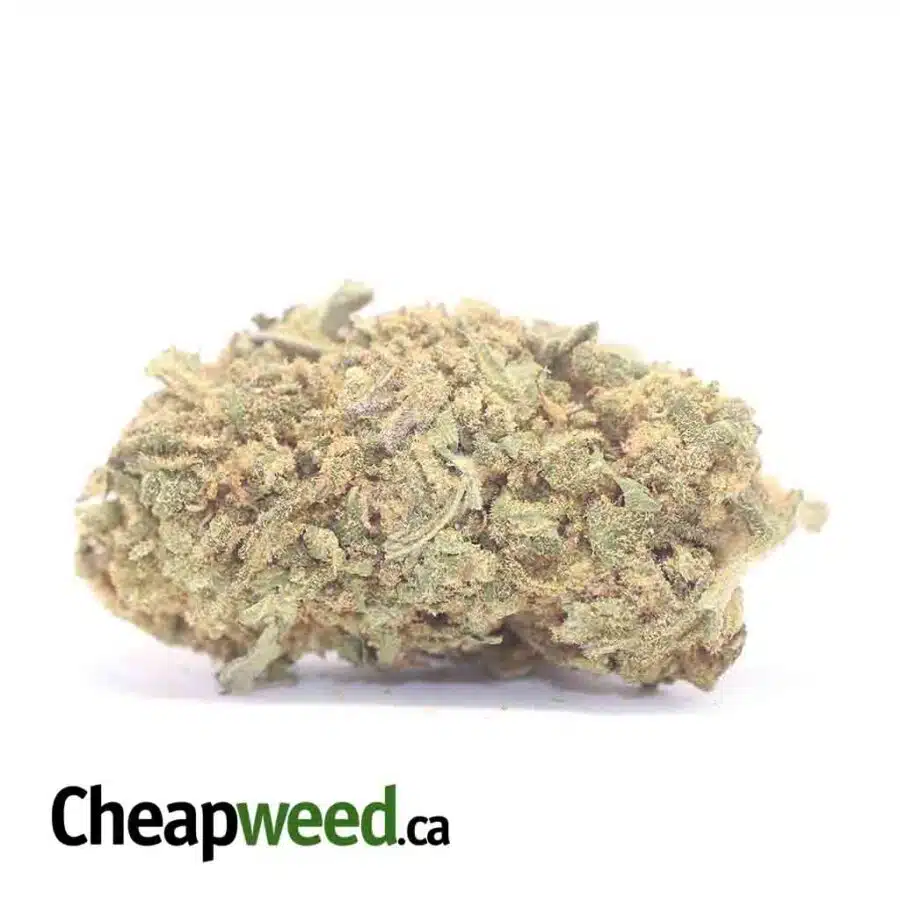 Nuken Bulk Special