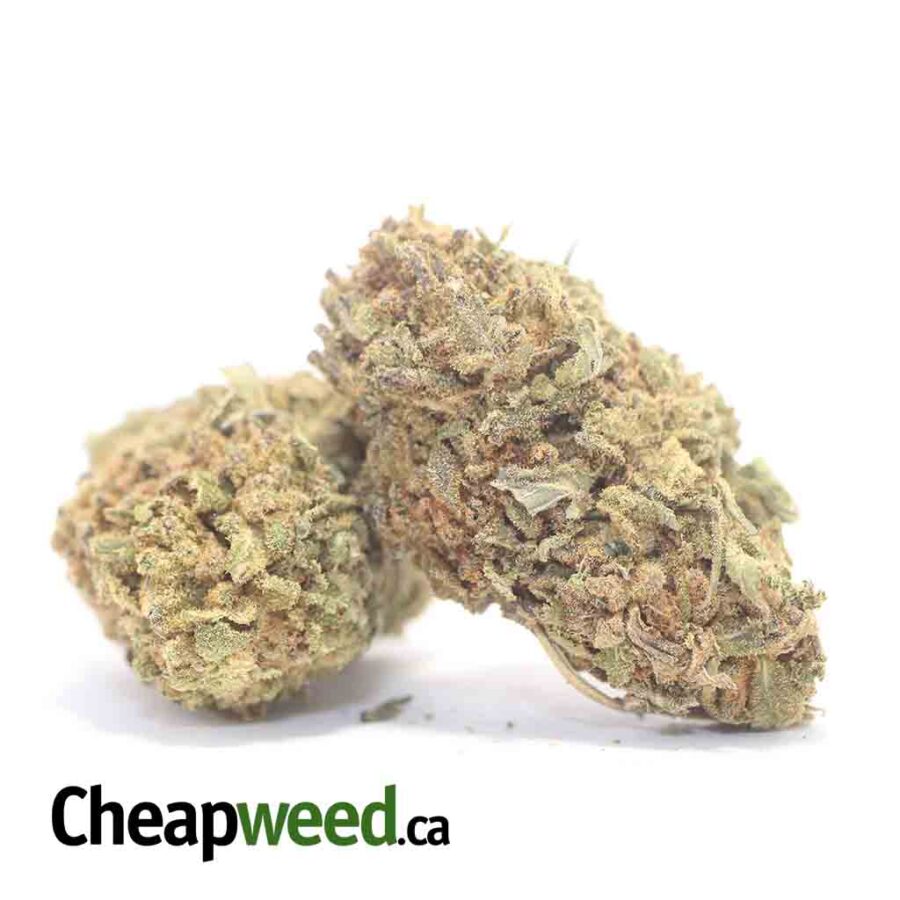 NUKEN BS 3 I Nuken Bulk Special