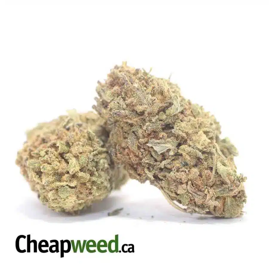 Alternative view of Nuken Bulk Special