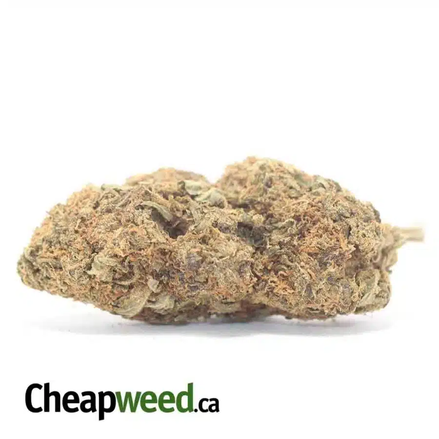 Orange Candy - *Deal Of The Day*