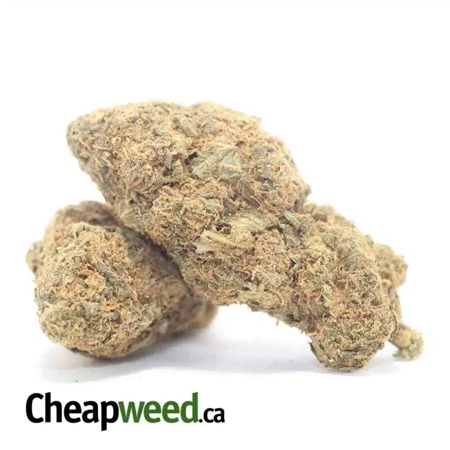 Alternative view of Orange Candy - *Deal Of The Day*