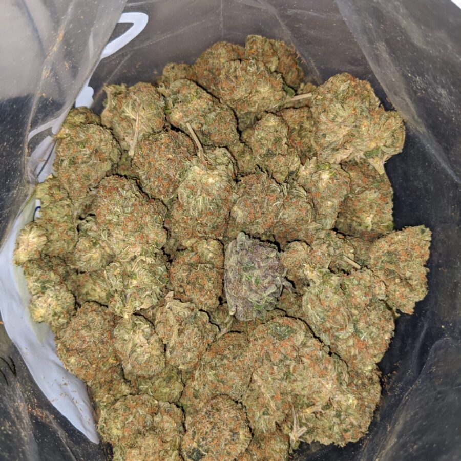 Pre 98 Bubba - *Deal of the Day* - Image 2