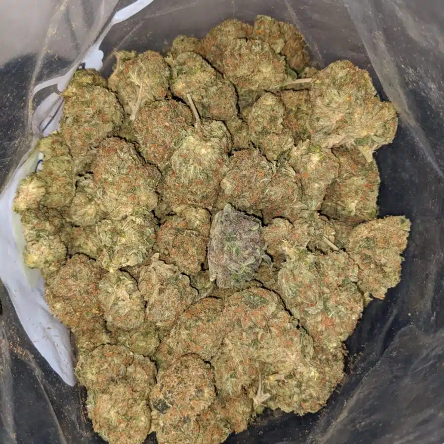 Pre 98 Bubba - *Deal of the Day*