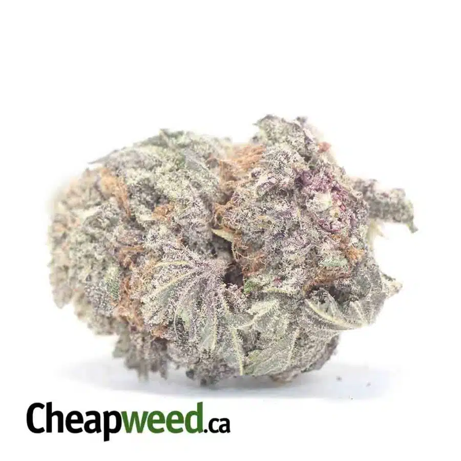 $69oz - Purple Magic