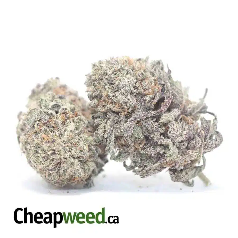 Alternative view of $69oz - Purple Magic