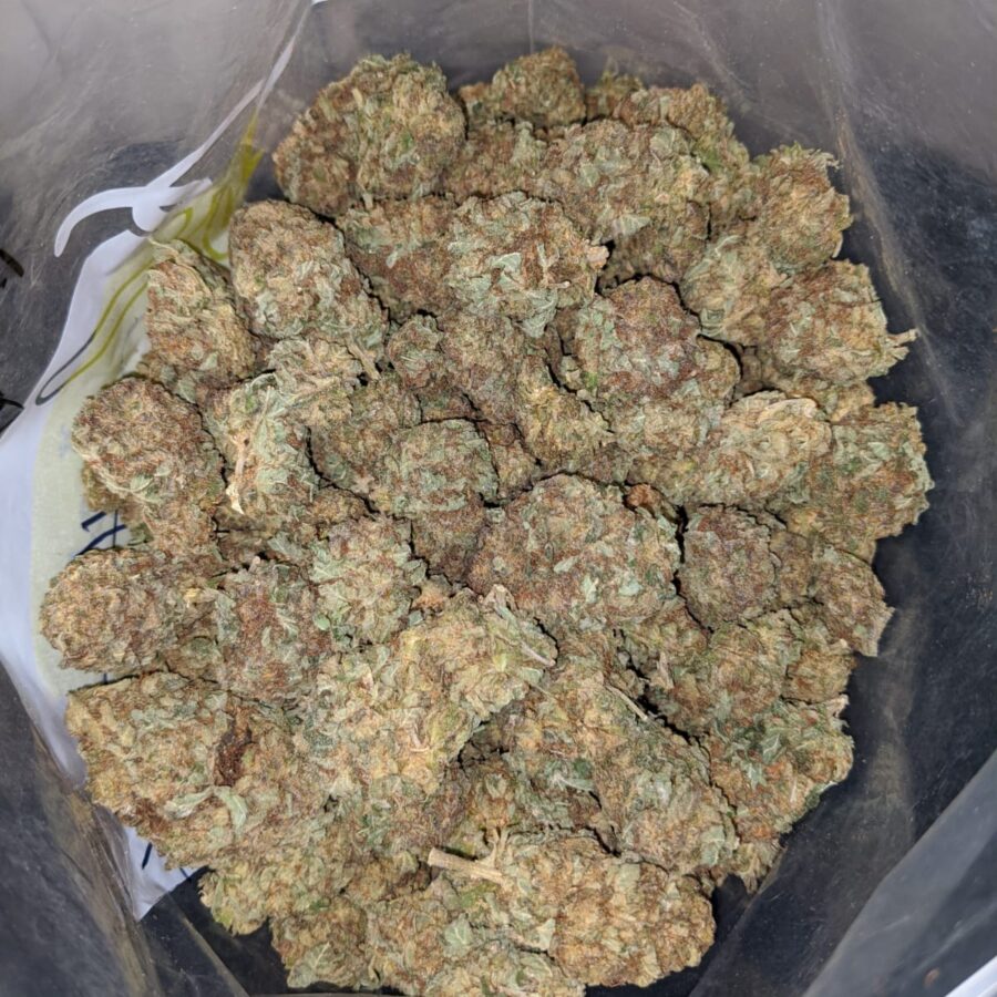 PURPLE MAGIC BS 2 I Purple Magic Bulk Special