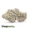 $89 Oz - Rainbow Sherbert