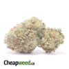 Raspberry - *Deal Of The Day*