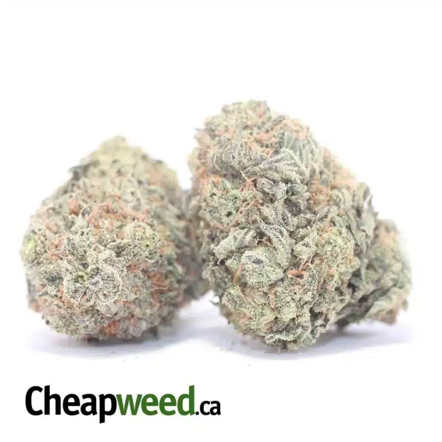RASP COUGH DOD 3 I Raspberry - *Deal Of The Day*