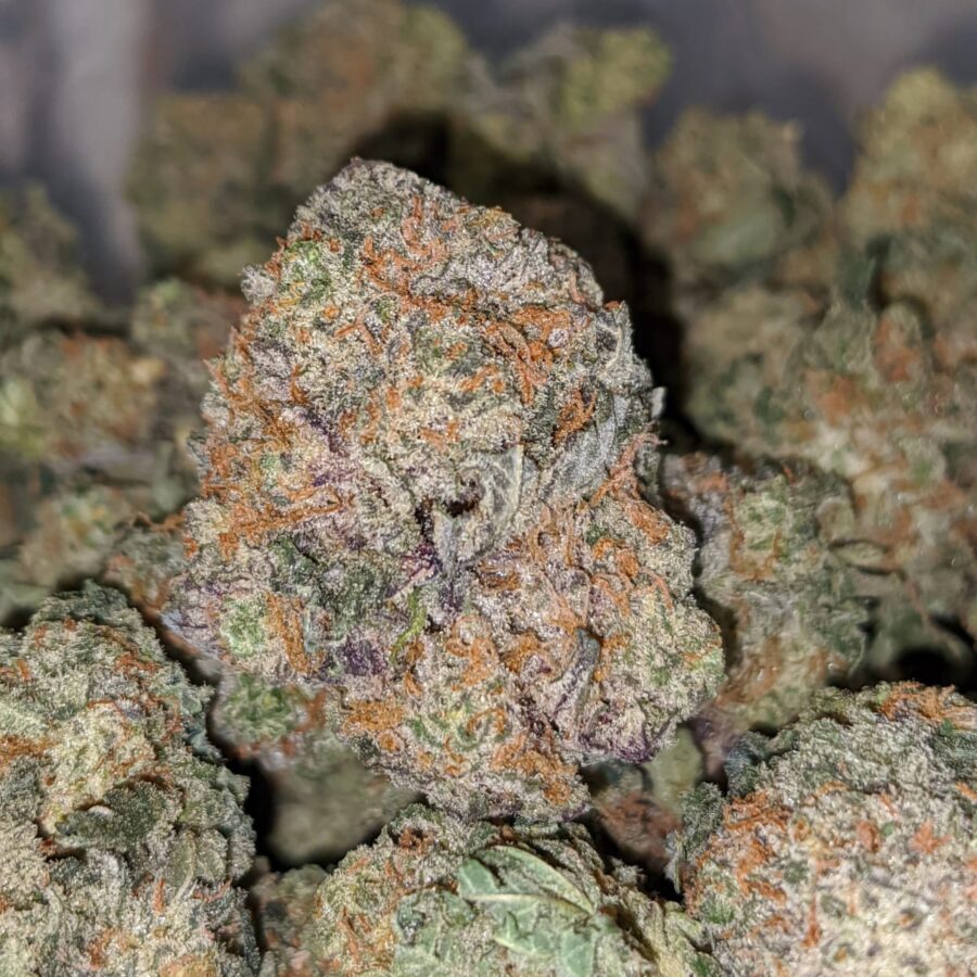 RASPBERRY COUGH DOD 1 I Raspberry - *Deal Of The Day*