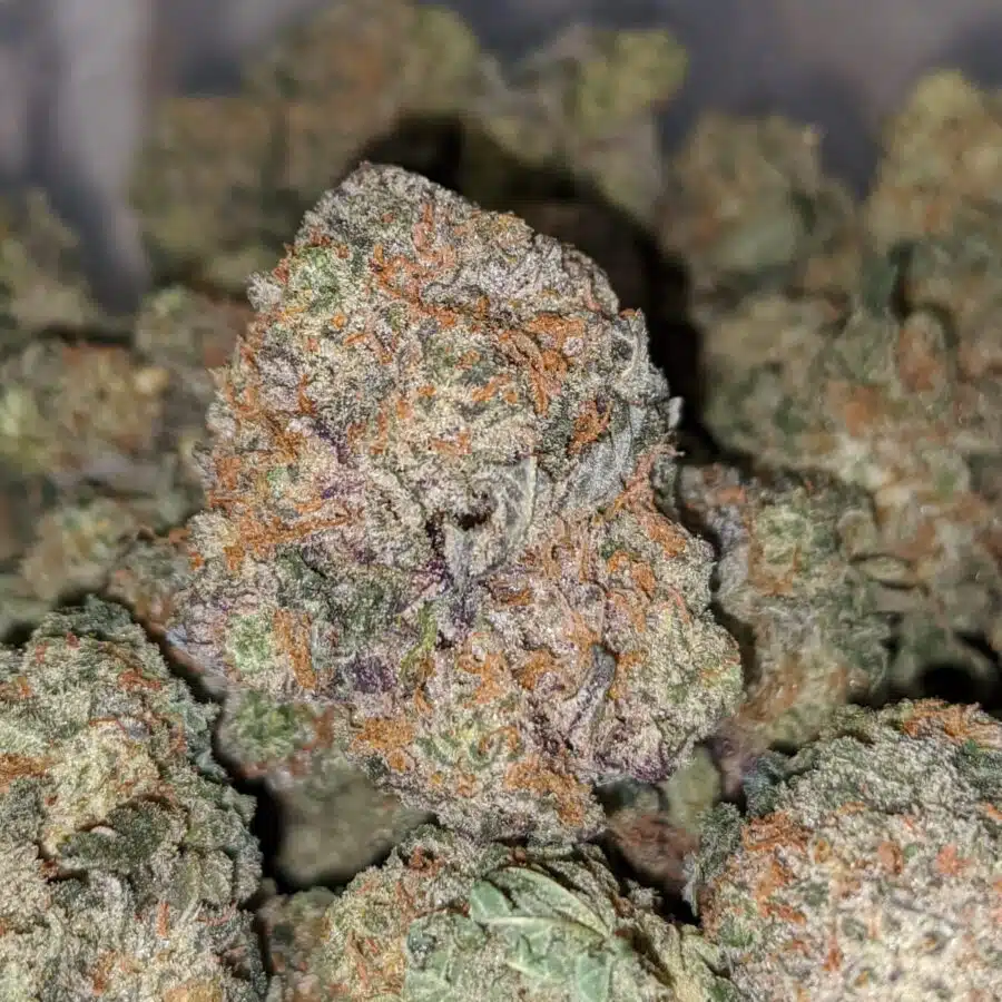 RASPBERRY COUGH DOD 1 I Raspberry - *Deal Of The Day*
