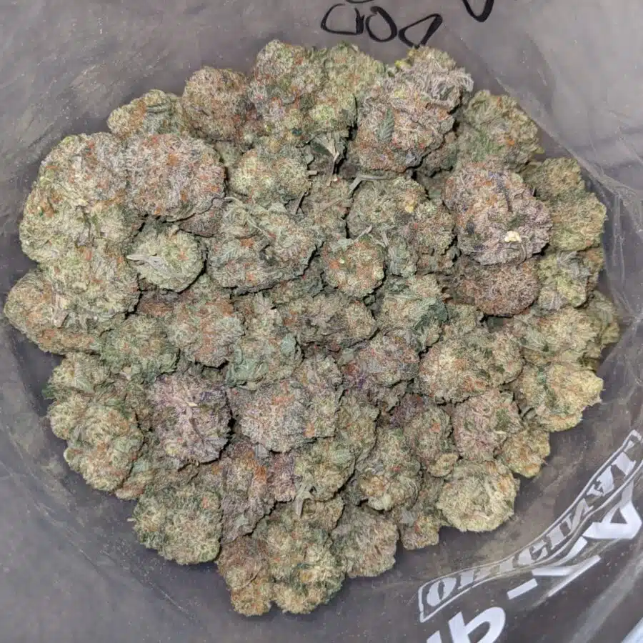 RASPBERRY COUGH DOD 2 I Raspberry - *Deal Of The Day*
