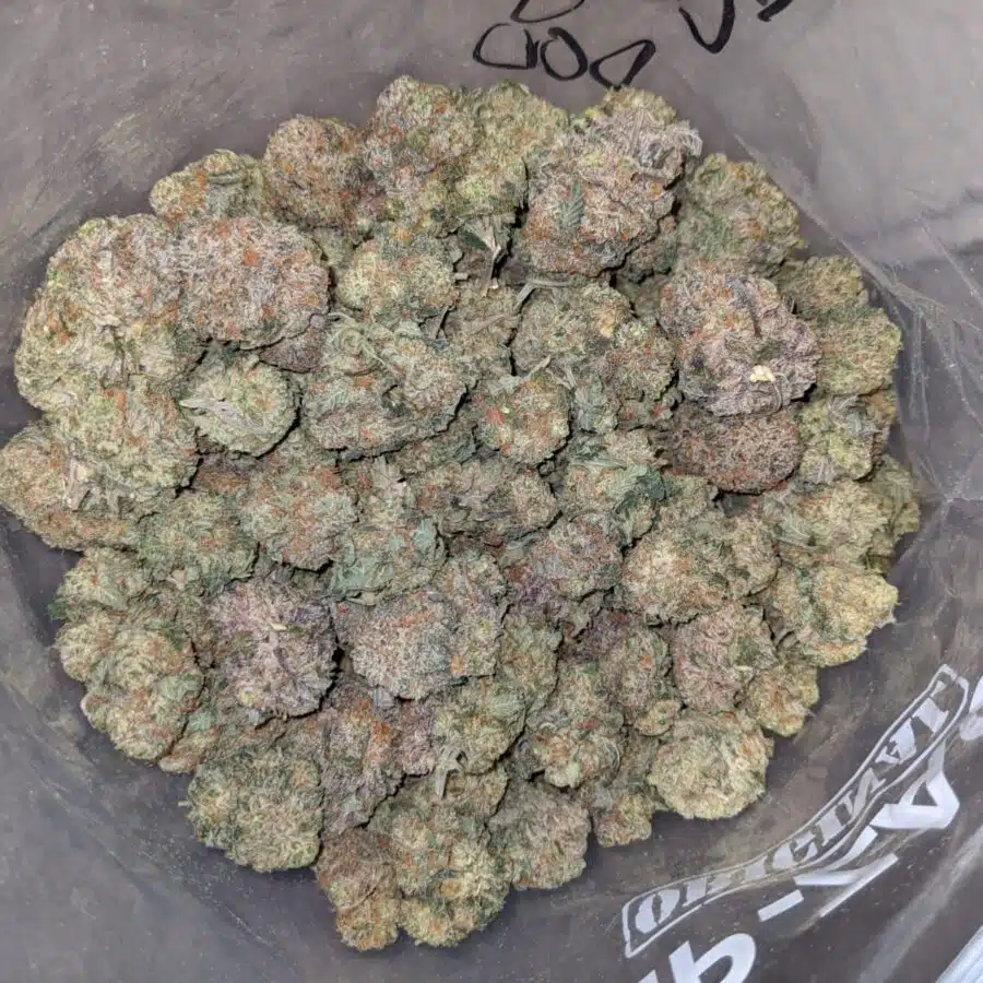 RASPBERRY COUGH DOD 3 I Raspberry - *Deal Of The Day*
