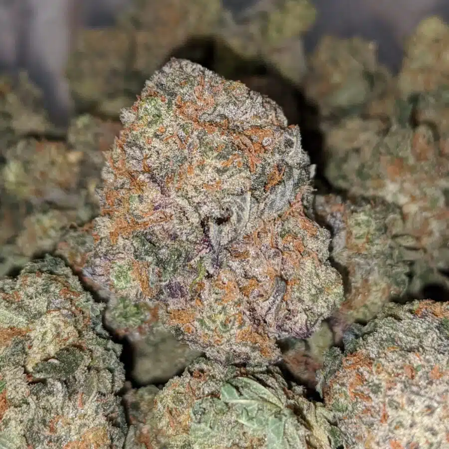 RASPBERRY COUGH DOD 4 I Raspberry - *Deal Of The Day*