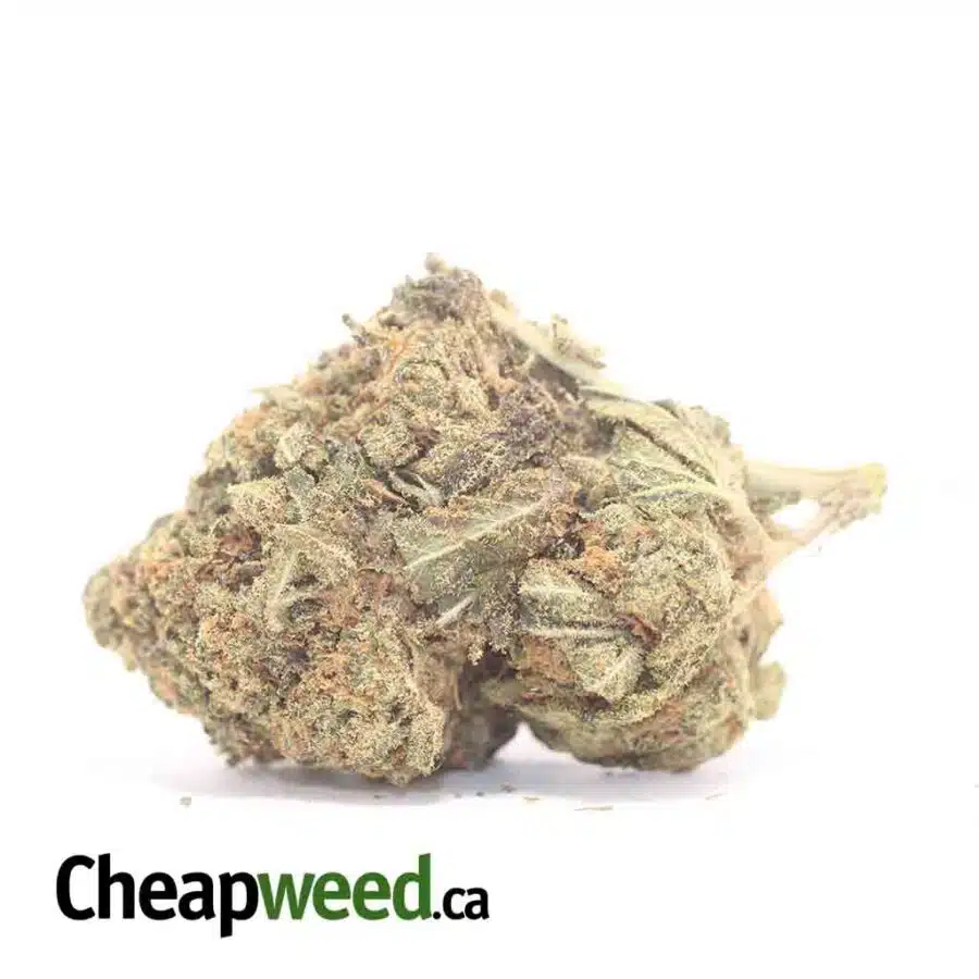 Sour Candy Bulk Special