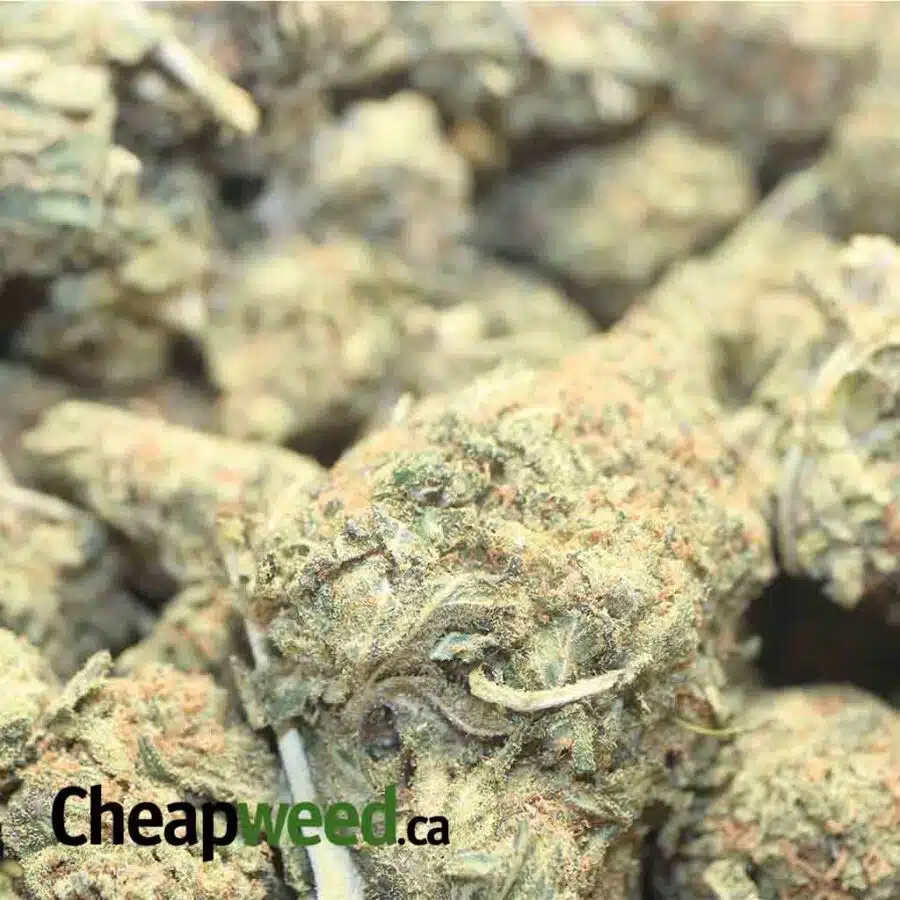 Alternative view of Sour Candy Bulk Special