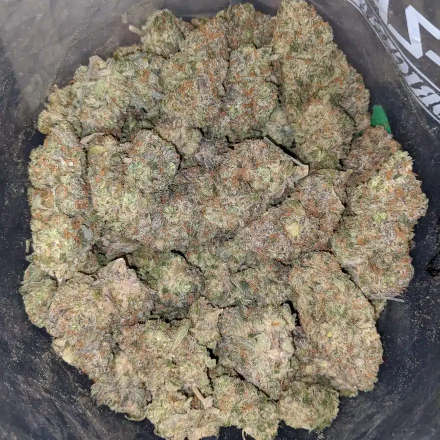 SEATTLE COUGH DOD 3 1 I Seattle Cough - *Deal of the Day*