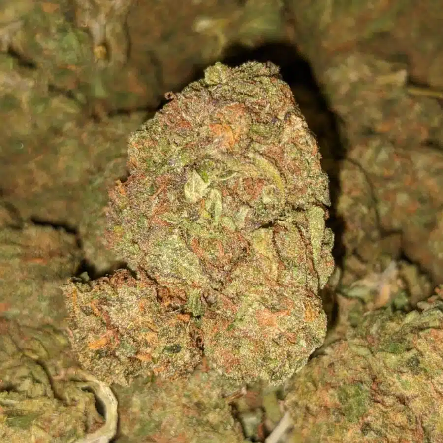 SOUR BUBBA BS 1 I Sour Bubba Bulk Special