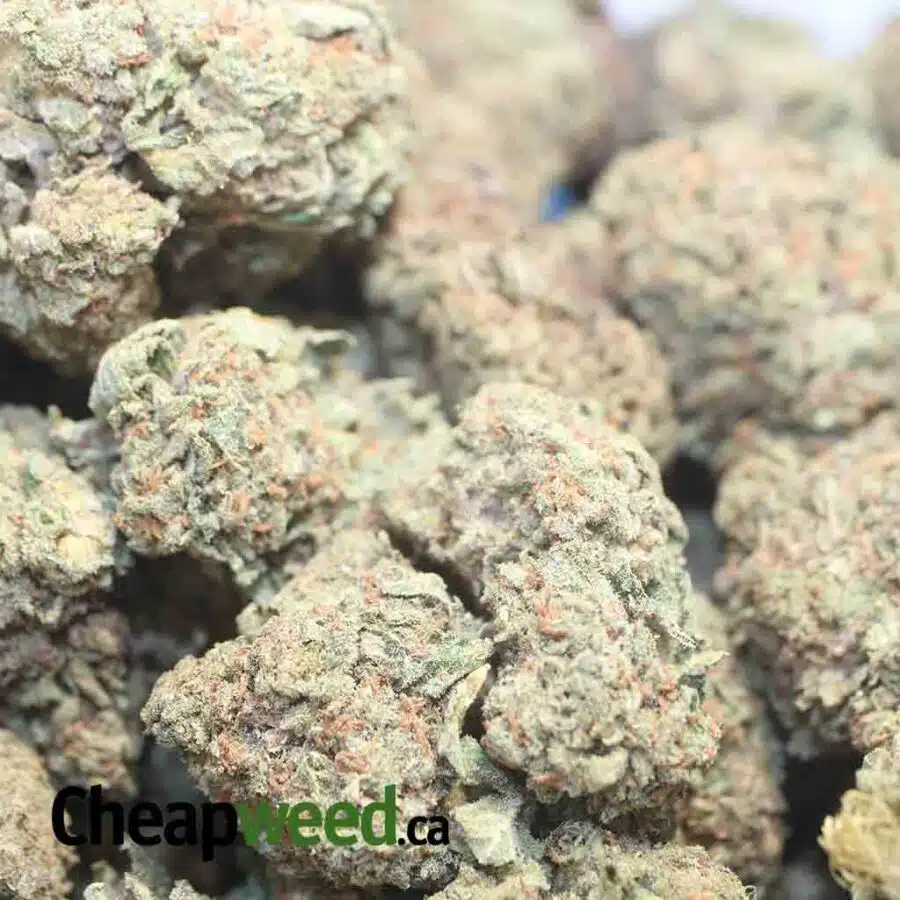 SOUR BUBBA BS 1 I Sour Bubba Bulk Special