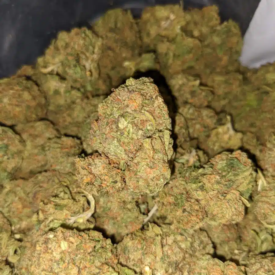 SOUR BUBBA BS 2 I Sour Bubba Bulk Special